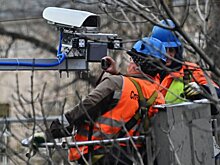 Проверять полисы ОСАГО будут камеры, но только у нарушителей