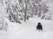 Названа версия пропажи туристической группы в Пермском крае