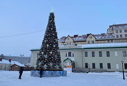В Омске начали устанавливать главную городскую елку