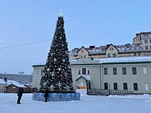 В Омске начали устанавливать главную городскую елку