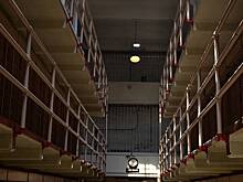 «Тысячи заключенных умирают»: правозащитник Пол Райт рассказал о тюрьмах в США