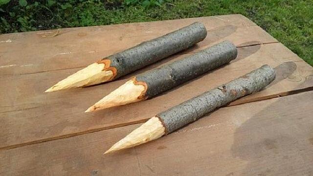 Народные приметы на 31 января 2024 года: что нельзя и что нужно делать