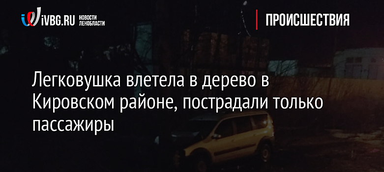 Легковушка влетела в дерево в Кировском районе, пострадали только пассажиры