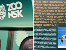 Экспозиция памяти Ростислава Шило представлена в новосибирском метро
