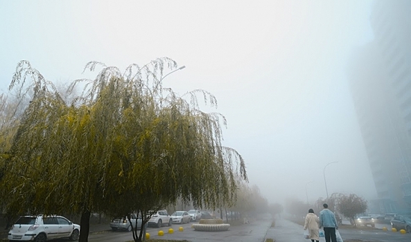 Небольшие осадки, туман и гололед обещают волгоградцам на предстоящих выходных