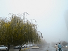 Небольшие осадки, туман и гололед обещают волгоградцам на предстоящих выходных