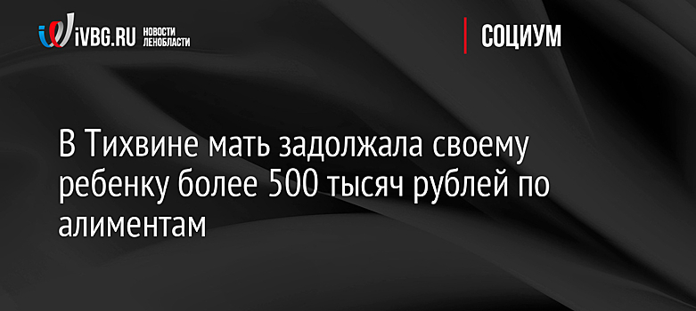 В Тихвине мать задолжала своему ребенку более 500 тысяч рублей по алиментам