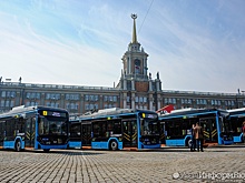 Свердловские депутаты подняли до 2500 рублей штраф за безбилетный проезд в Екатеринбурге