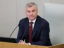 Володин пригласил председателя парламента Сербии выступить на заседании Госдумы