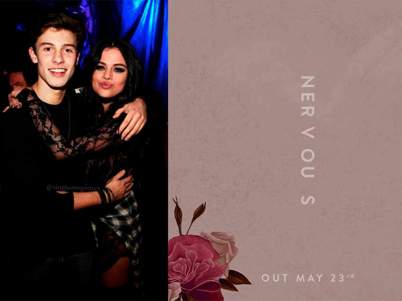 Шона Мендеса Обвинили В Плагиате Селены Гомес — Рамблер/Субботний