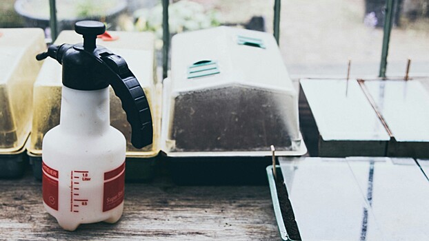 Астма и проблемы с репродукцией: чем опасны освежители воздуха