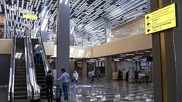 В Госдуме оценили ущерб аэропорту Махачкалы после беспорядков