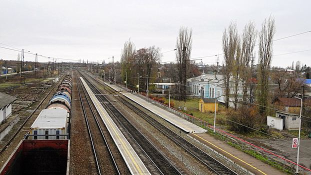 Воронежские транспортные полицейские пресекли путешествие двух юношей на крыше грузового состава