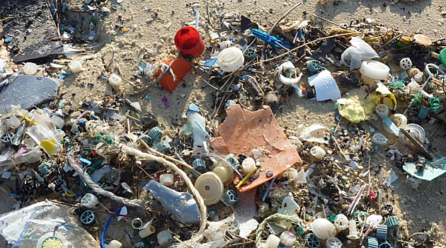 К 2040 году количество пластиковых отходов в океане утроится