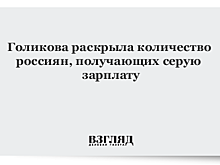 Назван объем серых зарплат в России