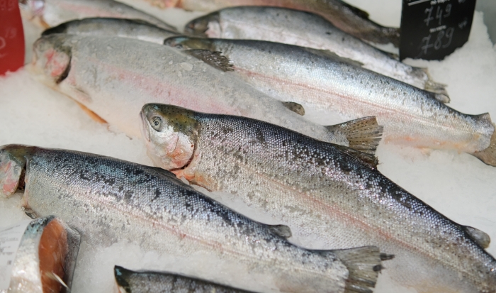 Под Волгоградом у предпринимателя нашли 1,1 тонны рыбы без документов