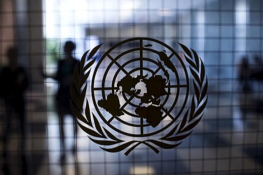 ООН приняла предложенную Россией резолюцию
