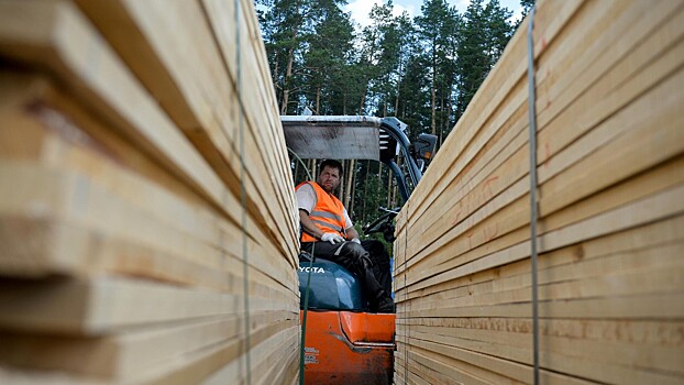 В России могут начать строить деревянные девятиэтажки