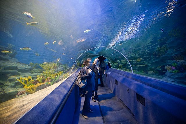 Аквариум TurkuaZoo, Стамбул, Турция, Ближний Восток
