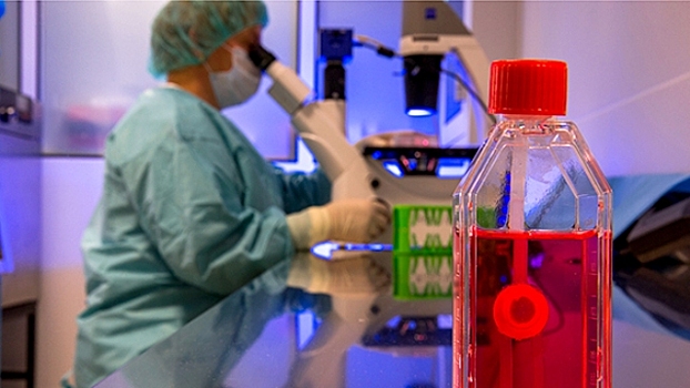 В России создали человеческую кожу