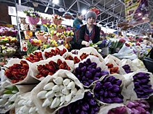 Жители Соколиной горы смогут купить цветы на проспекте Буденного