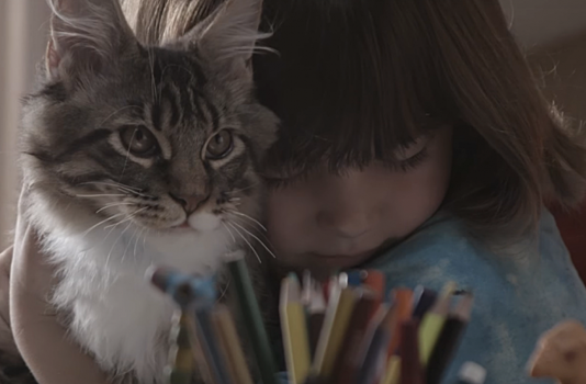 Реклама Whiskas: трогательная дружба девочки и ее кошки