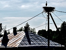 Верховный суд объяснил, когда жилой дом может стоять в зоне ЛЭП