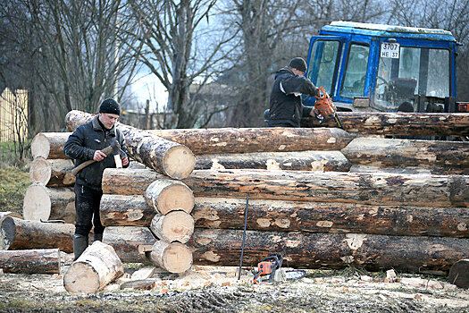 Покупателям деревянных домов готовят субсидии