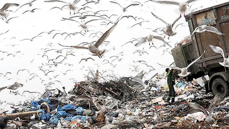 В России не могут справиться с мусором