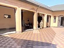 Зависимость от импортных семян кукурузы в РФ сократилась вдвое за год