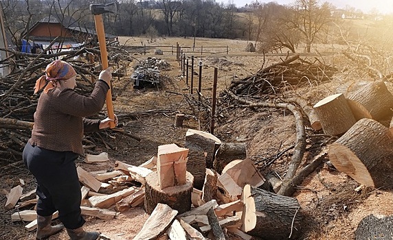Европу согреваем газом, себя – дровами