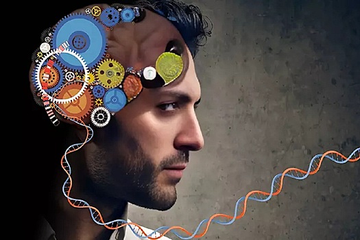 Простые правила нейрохирурга, помогающие сохранить здоровье мозга