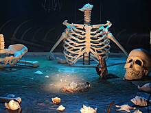 Чем удивят на театральном фестивале в Великом Новгороде