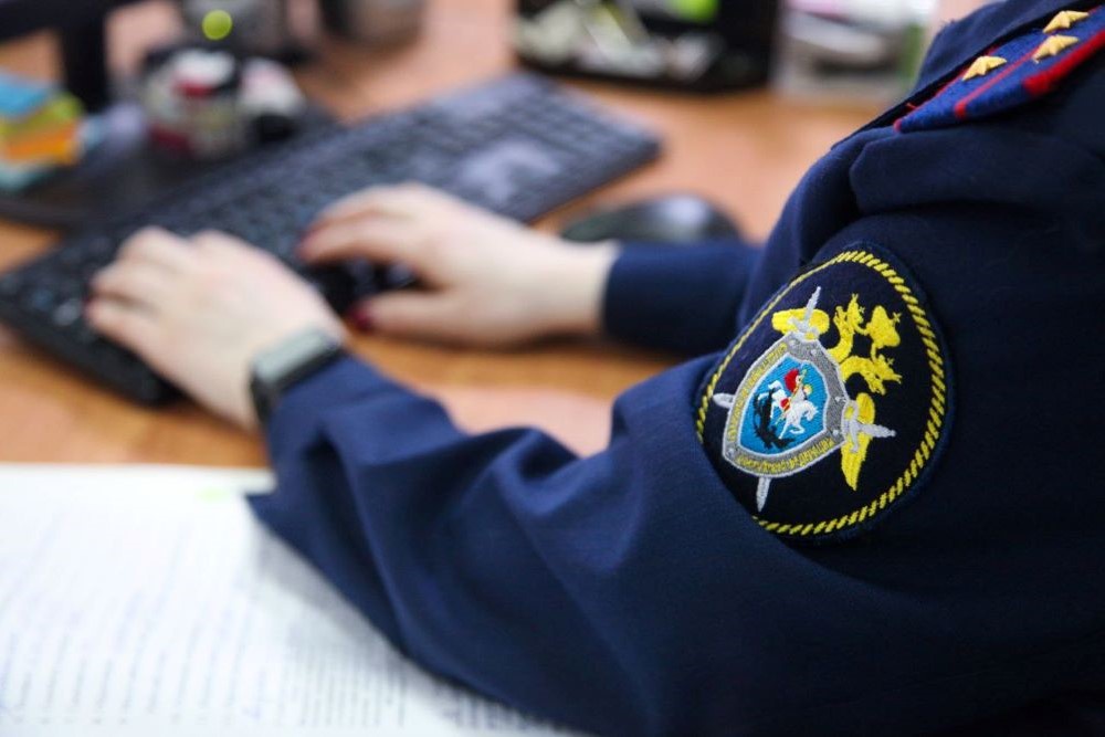 Уголовные дела о приготовлении к теракту расследуют в Тверской области