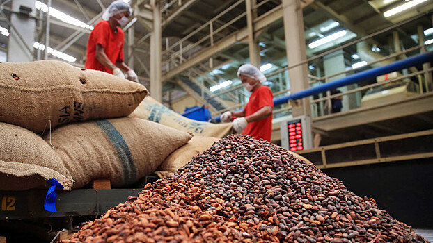 Как рекордный рост цен на какао-бобы может сказаться на кондитерской индустрии России