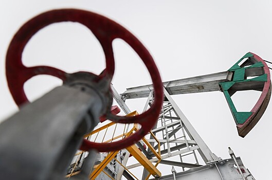 На Верблюжьем нефтяном месторождении обустроят  участки добычи