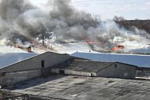 В Нижегородской области ликвидировали пожар на кожевенном заводе