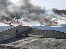 В Нижегородской области ликвидировали пожар на кожевенном заводе