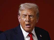 Политолог высказался о мотивах Трампа в отношении Израиля