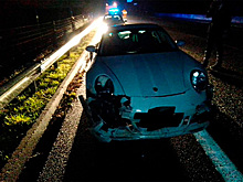 Водитель Porsche врезался в стадо кабанов на скорости и поубивал их