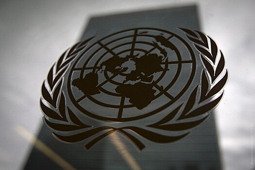 Членам СБ ООН предложили добровольный отказ