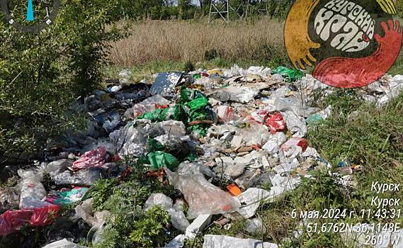 Курский активист обнаружил незаконную свалку на Льговском переулке