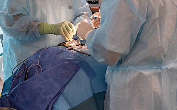 Российские хирурги вытащили из пациента огромного ленточного червя