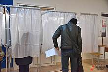 В Курганской области явка избирателей на выборах превысила 42%