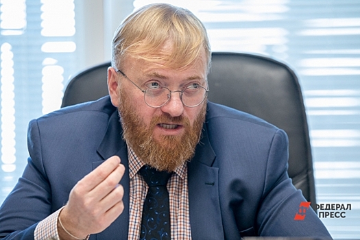 Милонов раскритиковал идею создания Министерства эффективности в России