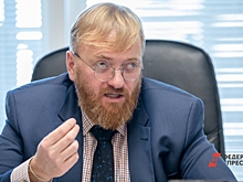 Милонов раскритиковал идею создания Министерства эффективности в России