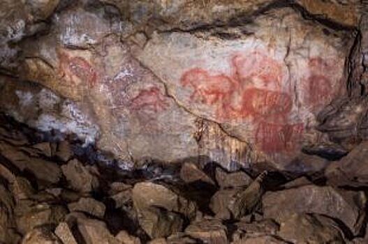 Учёный, изучающий Капову пещеру, нашёл связь между Башкирией и Европой
