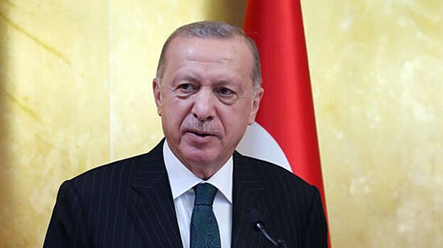 Эрдоган пригрозил затормозить присоединение Швеции и Финляндии к НАТО