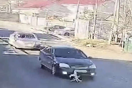 В Крыму пес попал под колеса, спровоцировал ДТП и сбежал