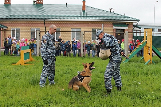 Детей в Костроме будут приучать к чтению с помощью собак-ищеек